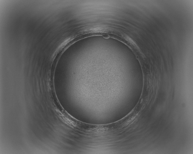 X0000062610930200601040935