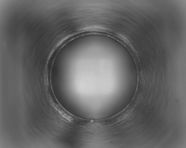 X0000062610931200601040935