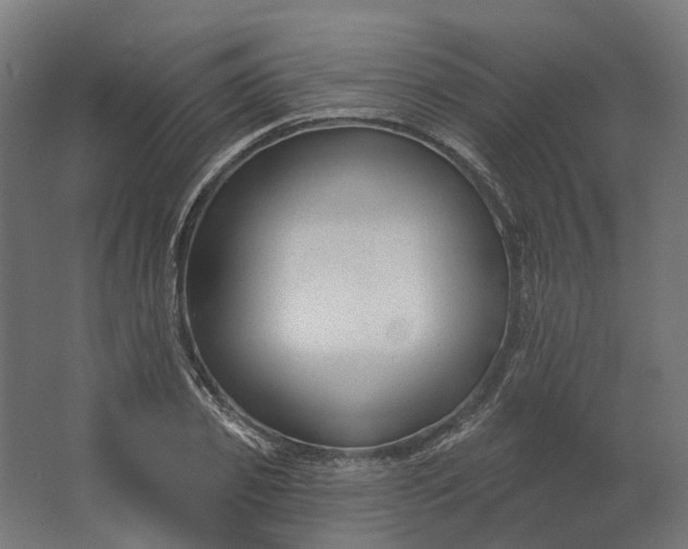 X0000062610933200601040935