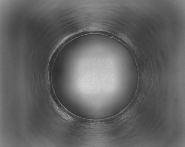 X0000062610934200601040935