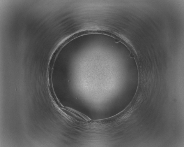 X0000062610935200601040935