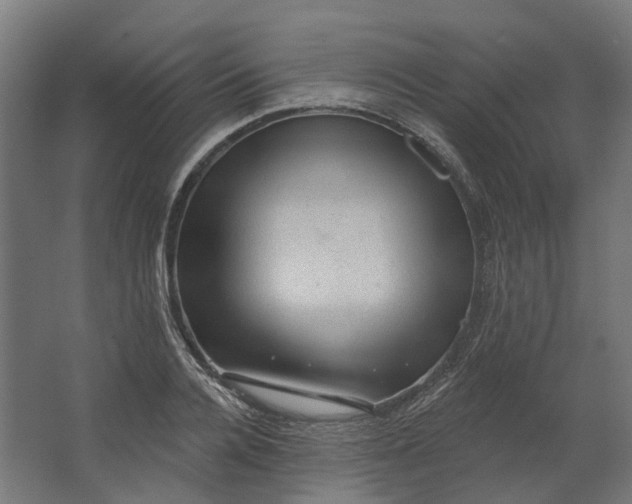 X0000062610936200601040935