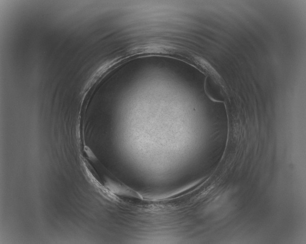 X0000062610938200601040935