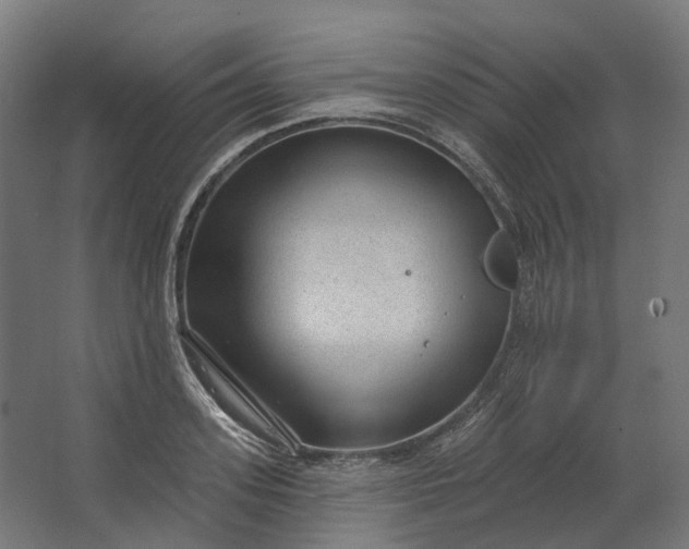 X0000062610939200601040935