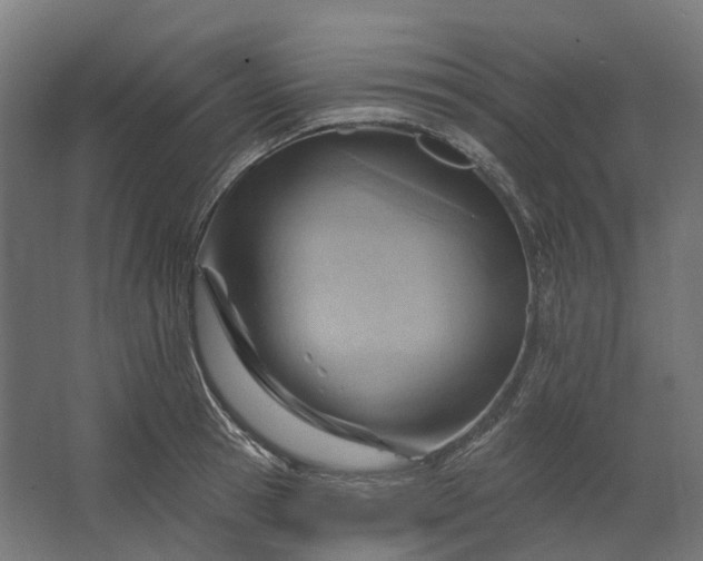 X0000062610945200601040936