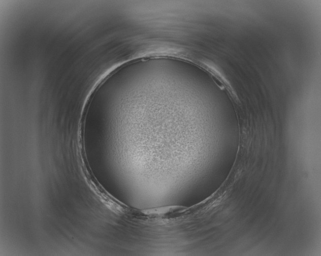 X0000062610948200601040936