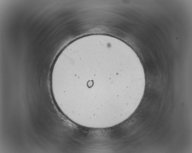 X0000062610950200601040936