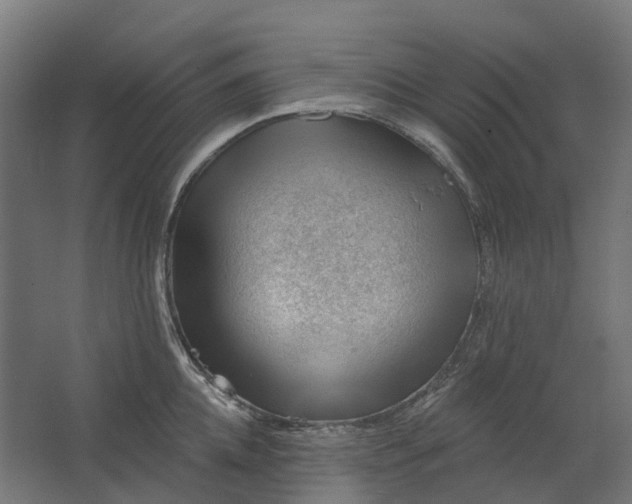 X0000062610952200601040936