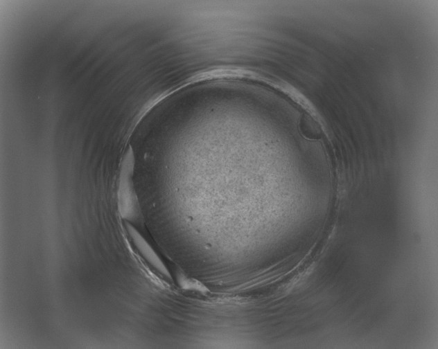 X0000062610953200601040936