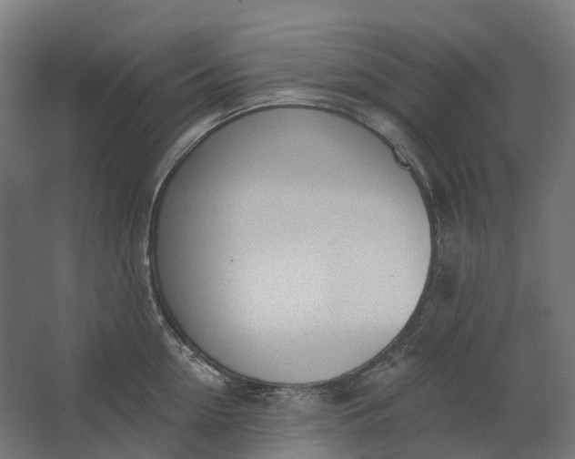 X0000062610954200601040936