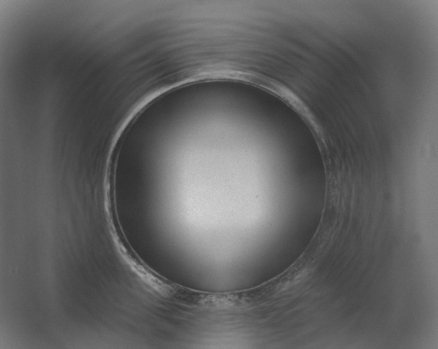 X0000062610955200601040936