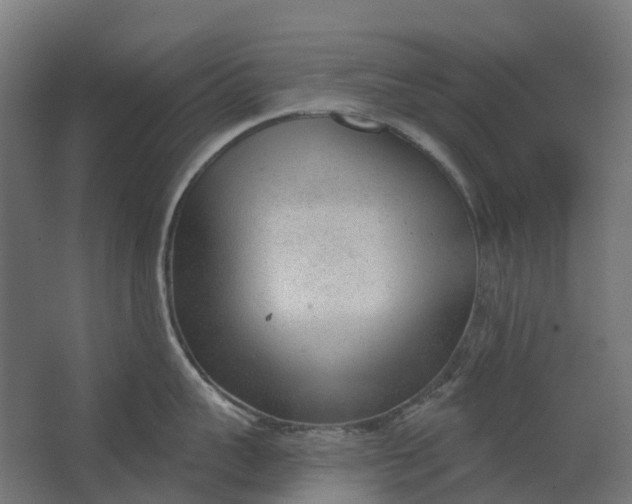 X0000062610959200601040936