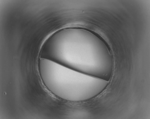 X0000062610960200601040936