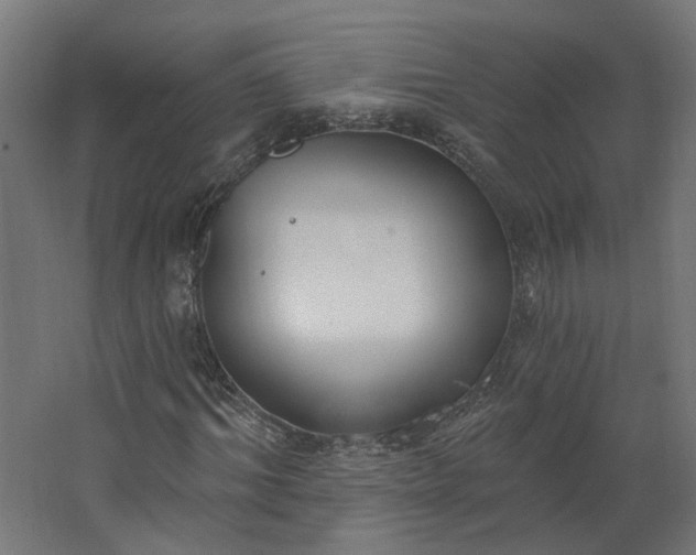 X0000062610964200601040935