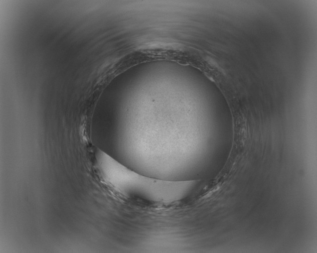 X0000062610965200601040935