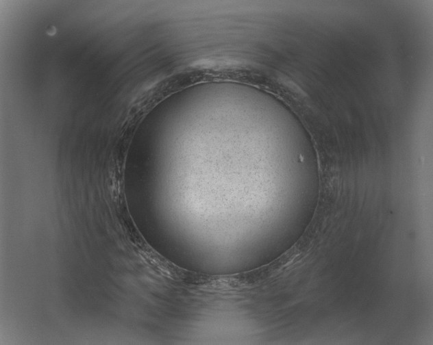 X0000062610966200601040935