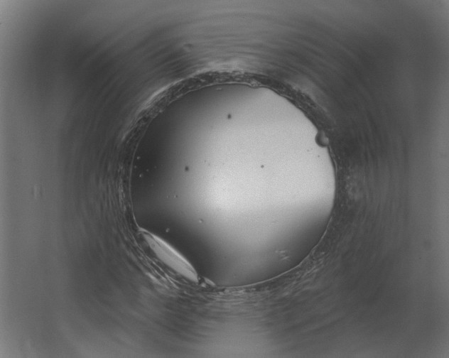 X0000062610968200601040935