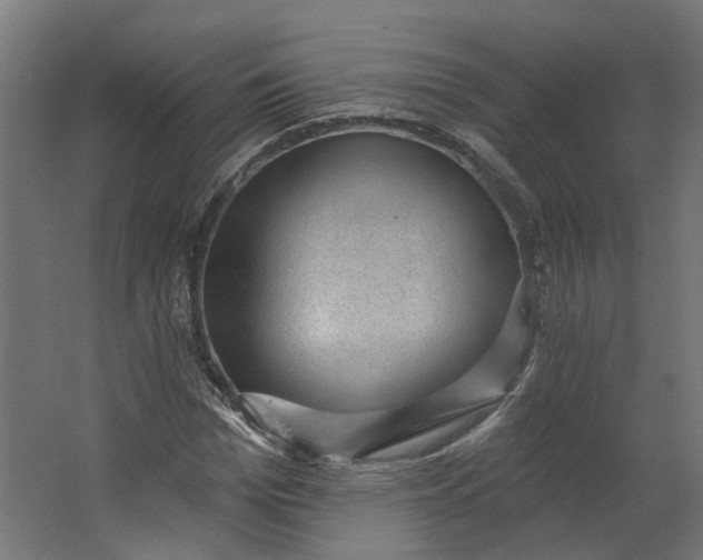 X0000062610969200601040935