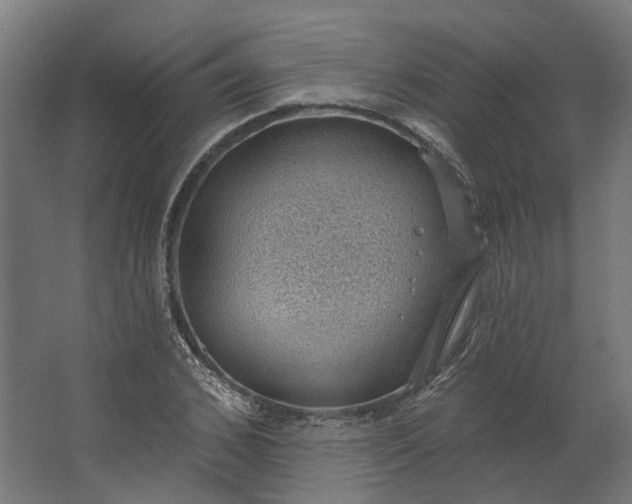 X0000062610976200601040935