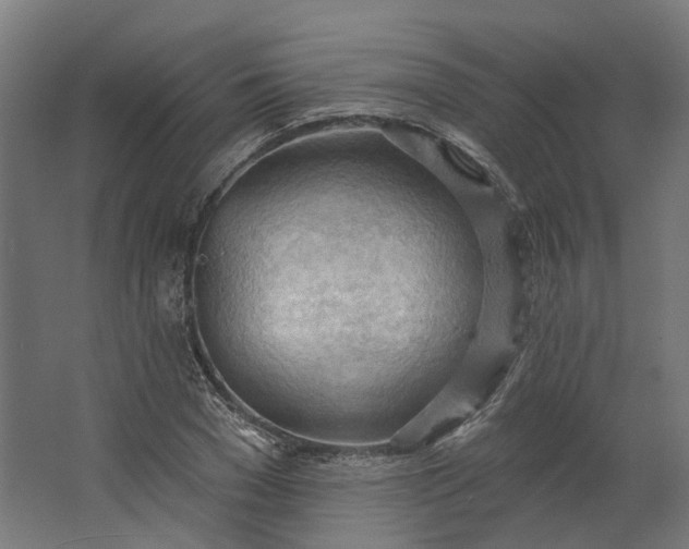 X0000062610977200601040935