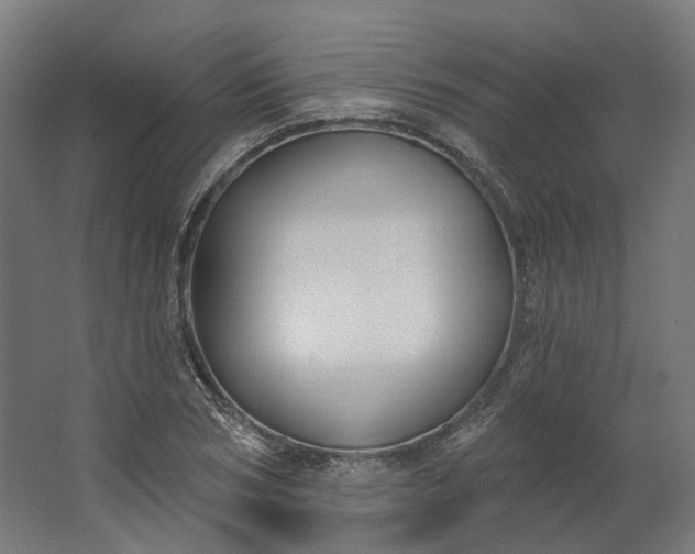 X0000062610978200601040935