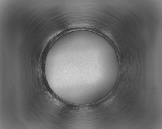 X0000062610979200601040935