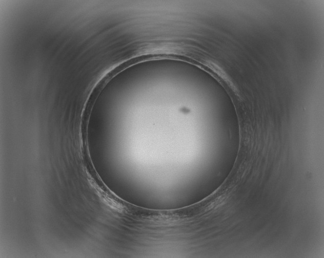 X0000062610980200601040935