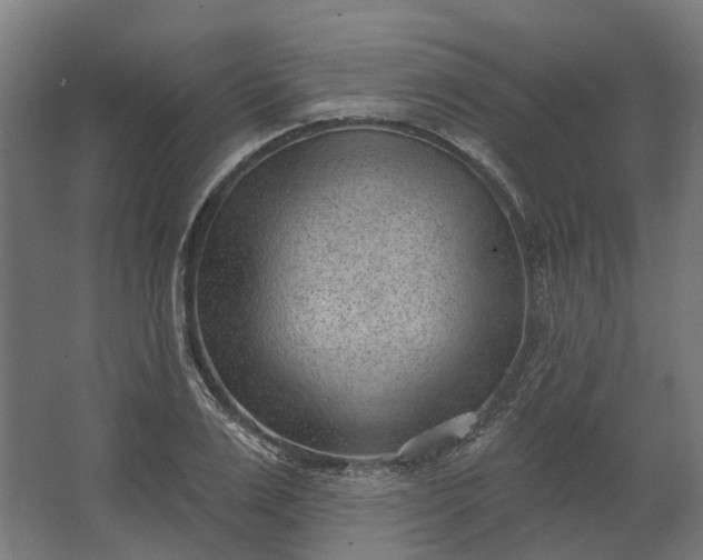 X0000062610983200601040935