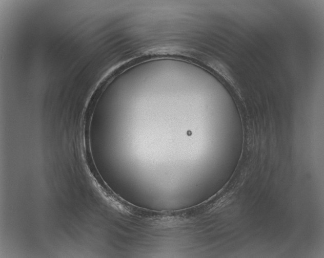 X0000062610984200601040935