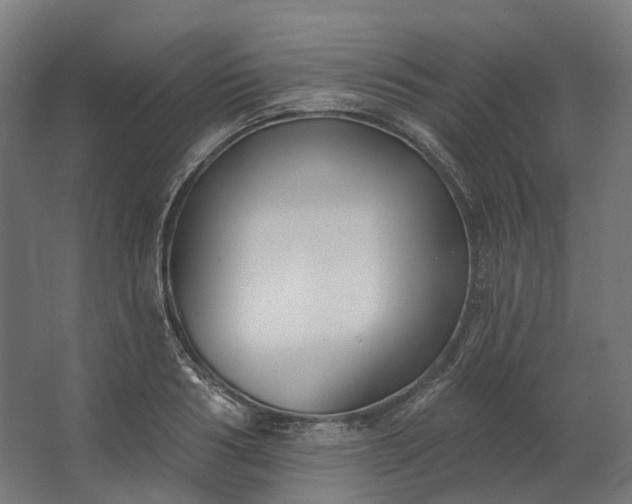 X0000062610986200601040935