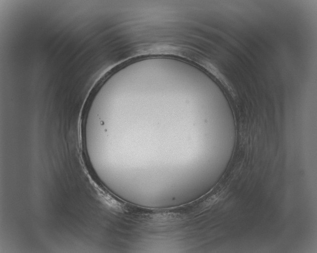 X0000062610988200601040934