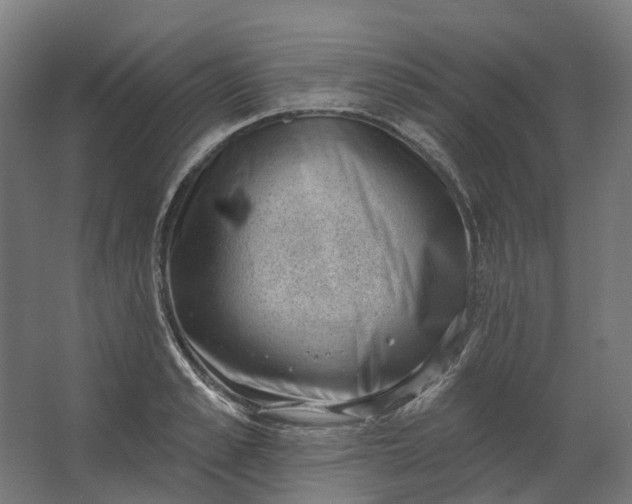 X0000062610989200601040934