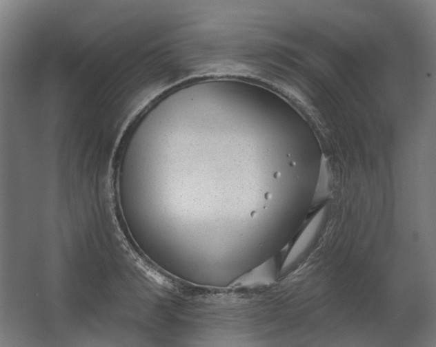 X0000062610990200601040934