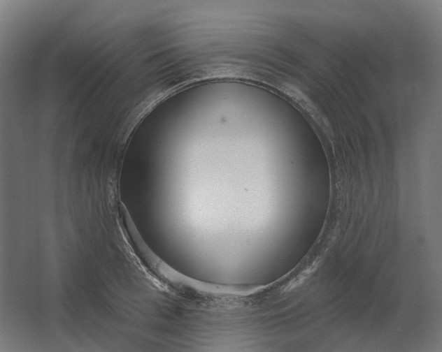 X0000062610993200601040934