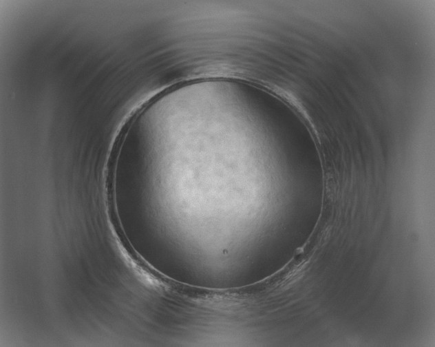 X0000062610995200601040934