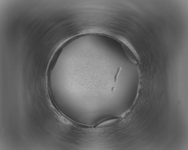 X0000062610996200601040934