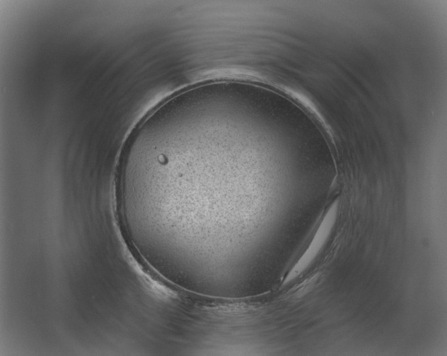 X0000062610999200601040934