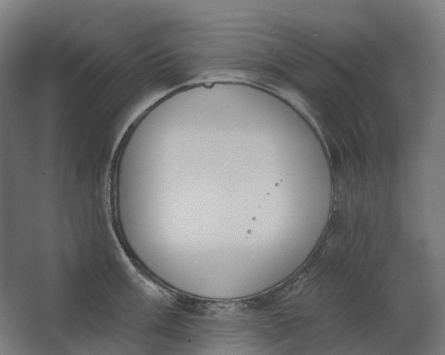 X0000062611003200601040934