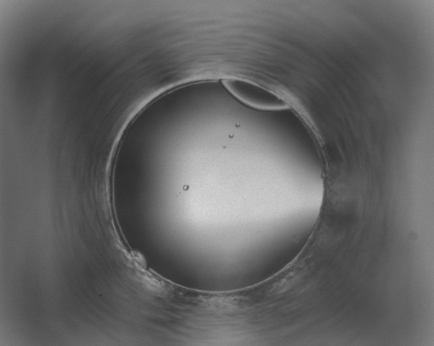 X0000062611004200601040934