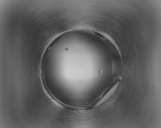 X0000062611005200601040934