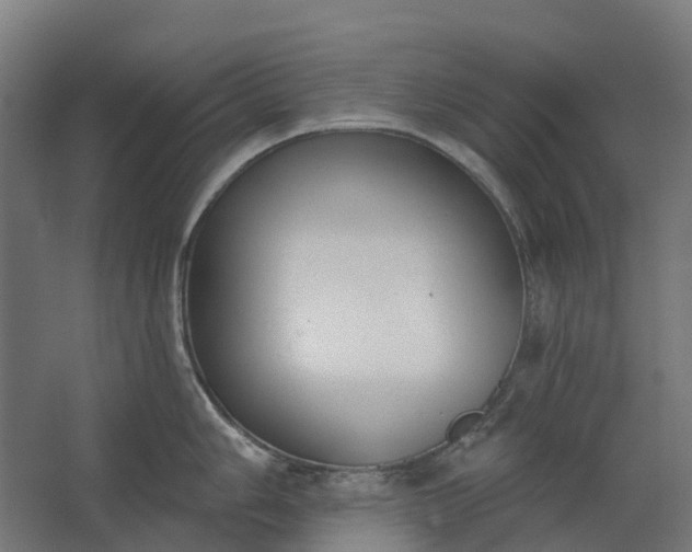 X0000062611006200601040934