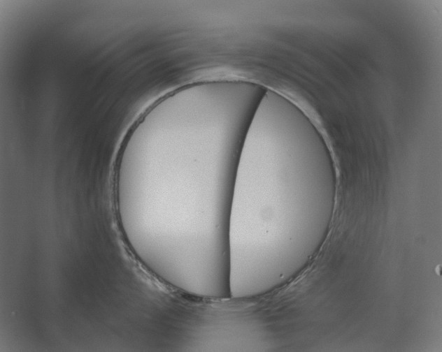 X0000062611008200601040934