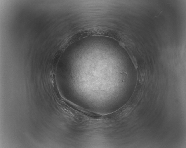 X0000062611010200601040933