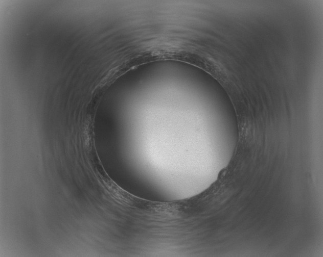 X0000062611012200601040933