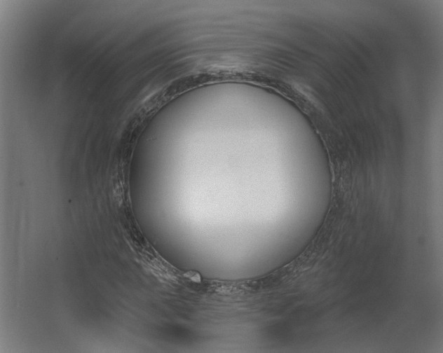 X0000062611015200601040933