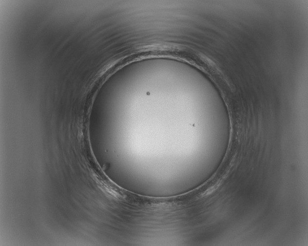 X0000062611017200601040933