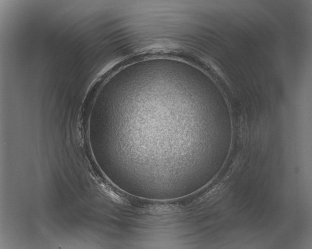 X0000062611018200601040934