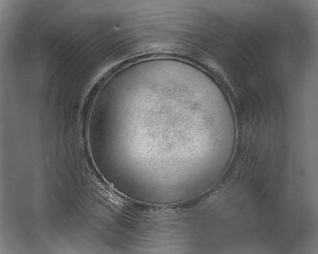 X0000062611019200601040934