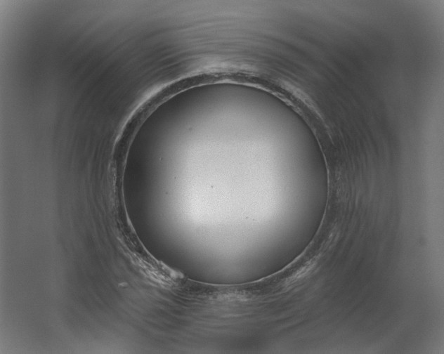 X0000062611021200601040934