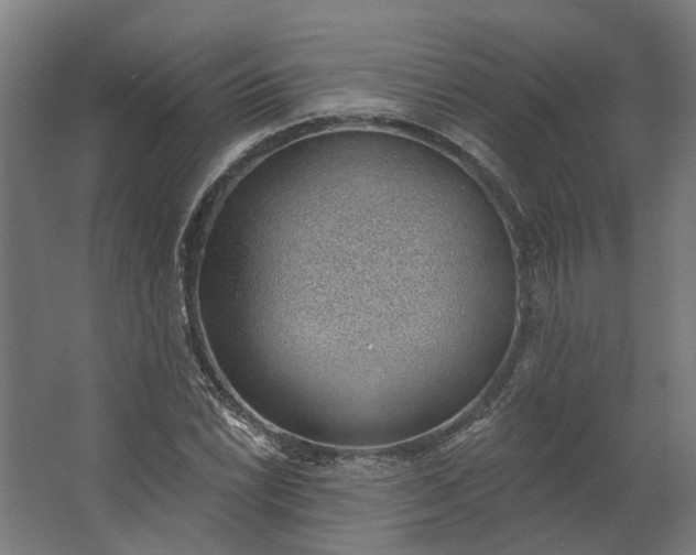 X0000062611022200601040934